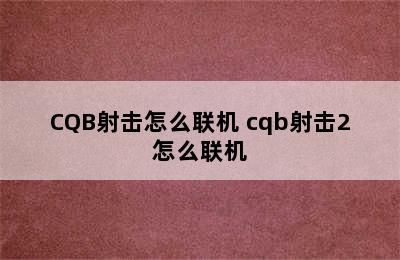 CQB射击怎么联机 cqb射击2怎么联机